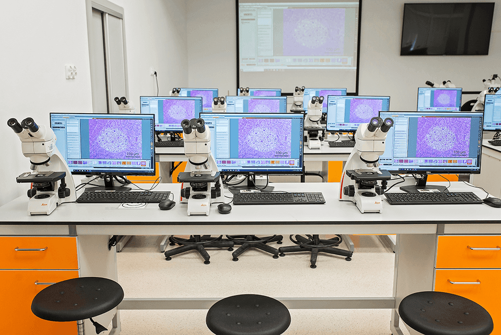محطات العمل في مختبر المجاهر بجامعة كوبرنيكوس في تورون